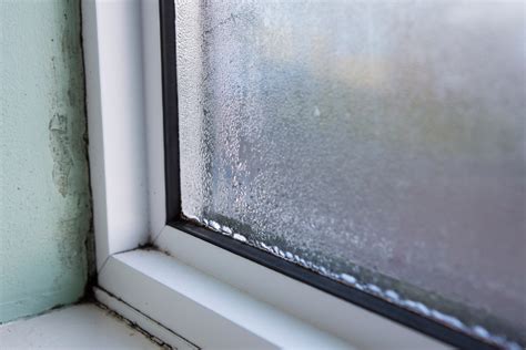 bay window leaking from top|5 Reasons Your Windows Are Leaking (And How to。